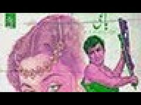 Baghi (1956) | full movies Urdu Pakistani | sudhir | sultan rahi | Musarrat nazir | superhit old |