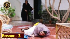 Beti Episode 3  – Top Pakistani Drama