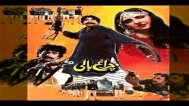 Yalgaar Pakistani Movie Download