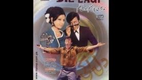 DIL LAGI- دل لگی – Nadeem, Shabnam, Nayyar Sultana, Talish |  FILMY DUNYA CLASSICS