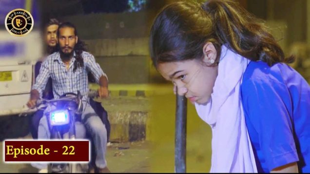 Haiwan Episode 22 – Top Pakistani Drama