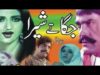 Jagga tay shera (1984) | full movies Punjabi Pakistani | sultan rahi | anjuman | naghma | old film |