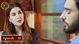 Koi Chand Rakh Episode 20 – Top Pakistani Drama