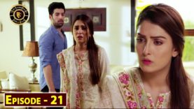 Koi Chand Rakh Episode 21 – Top Pakistani Drama