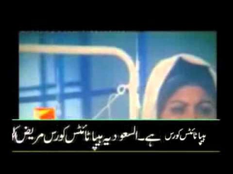 New pakistani punjabi movies 2013