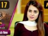 Pakistani Drama | Khafa Khafa Zindagi – Episode 17 | Aplus Dramas | Ali Safina, Sumbul Iqbal