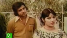 Pakistani Film Sharmeeli 1/2