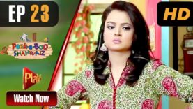 Peek A Boo Shahwaiz – Episode 23 | Play Tv Dramas | Mizna Waqas, Shariq, Hina Khan | Pakistani Drama