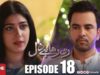 Ro Raha Hai Dil | Episode 18 | TV One Drama