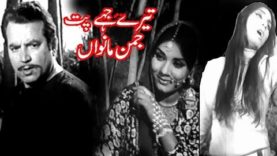 TERE JAYE PUTT JAMAN MAWAN – SUDHIR, NAGHMA, RANGEELA – OFFICIAL FULL PAKISTANI MOVIE