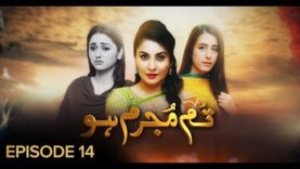 Tum Mujrim Ho Episode 14 | Pakistani Drama | 25 December 2018 | BOL Entertainment