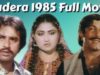 Wadera (1985) | Pakistani Old Punjabi Movie Full in HD – Pakistani Film Mania