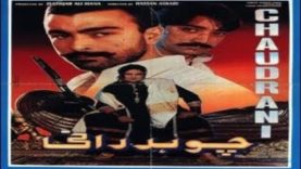 chaudhrani pakistani punjabi movie