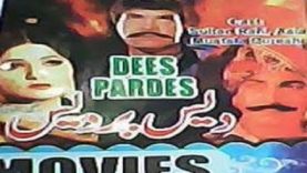 des pardes pakistani punjabi movie   YouTube