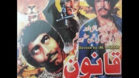 qanoon pakistani punjabi movie x264