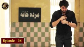 Balaa Episode 36 – Top Pakistani Drama