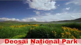 DEOSAI National Park  Skardu Pakistan walkabout films Documentary || World second highest plateaus