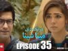 Mazung De Meena Sheena | Episode 35 | TV One Drama