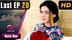 Pakistani Drama | Dukh Kam Na Honge – Last Episode 20 | Aplus Dramas | Saba Faisal, Nadia Afghan