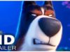 THE SECRET LIFE OF PETS 2: The Rooster Trailer (2019)