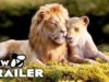 THE LION KING Can You Feel The Love Tonight Song Trailer (2019) Disney Movie