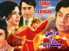 DAAMAN AUR CHINGARI (1973) – MOHAMMAD ALI, ZEBA, NADEEM & AALIYA – OFFICIAL PAKISTANI MOVIE