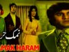 NAMAK HARAM (1974) – MUNAWAR ZARIF, ASIYA, NISHO, QAVI – OFFICIAL PAKISTANI MOVIE