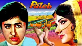 PAZAIB (CLASSIC) – NADEEM, ASIYA, QAVI, TAMANNA – FULL PAKISTANI MOVIE