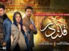 Qalandar Episode 44 – [Eng Sub] – Muneeb Butt – Komal Meer – Ali Abbas – 11th Mar 2023 – HAR PAL GEO