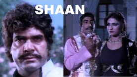 SHAAN (1982) SULTAN RAHI, ANJUMAN, MUMTAZ, MUSTAFA QURESHI, BAHAR – OFFICIAL PAKISTANI MOVIE