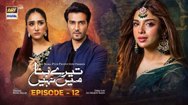 Tere Bina Mein Nahi Episode 12 | 14th March 2023 (English Subtitles) | ARY Digital