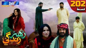 Zahar Zindagi – Ep 202 | Sindh TV Soap Serial | SindhTVHD Drama