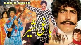 BAGHI SHER (1983) – SULTAN RAHI, DURDANA REHMAN, MUSTAFA QURESHI – OFFICIAL PAKISTANI MOVIE