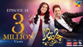 Chand Tara EP 14 – 5th Apr 23 – Presented By Qarshi, Powered By Lifebuoy, Associated By Surf Excel