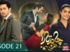 Chand Tara EP 21 – 12th Apr 23 – Presented By Qarshi, Powered By Lifebuoy, Associated By Surf Excel