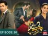 Chand Tara LAST EPISODE 21st Apr 23 – Presented By Qarshi, Powered By Lifebuoy Associated Surf Excel