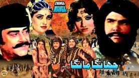 CHANGA TAY MANGA (1981) SULTAN RAHI, YOUSAF KHAN, ANJUMAN, CHAKORI – OFFICIAL PAKISTANI MOVIE