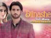 Dilnasheen (دل نشین) | Full Movie | Hiba Bukhari And Agha Ali | A Heartbreaking Love Story | C4B1G