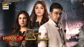 Hook Episode 17 | 12th April 2023 | ARY Digital Drama