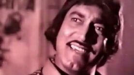 License Najma_ Sultan Rahi_ Mustafa Qureshi  – Pakistani Old Movie