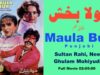 Maula Bux Punjabi Full Movie مولا بخش – Sultan Rahi, Neeli, Nadra, Ghulam Mohiyudin