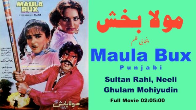 Maula Bux Punjabi Full Movie مولا بخش – Sultan Rahi, Neeli, Nadra, Ghulam Mohiyudin