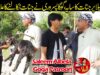 New Funny Video Saleem Albela ko Jin Chimat Gaiy Goga Pasroori nay Ilaaj bata dia