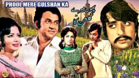 PHOOL MERE GULSHAN KA (1974) MOHAMMAD ALI, ZEBA, WAHEED MURAD, NISHO – FULL PAKISTANI MOVIE