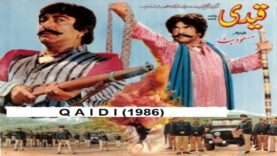 QAIDI (1986) – SULTAN RAHI, ANJUMAN, MUSTAFA QURESHI, FIRDOS, AFZAL AHMAD – OFFICIAL PAKISTANI MOVIE