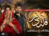 Qalandar Episode 56 – [Eng Sub] – Muneeb Butt – Komal Meer – Ali Abbas – 14th April 2023