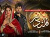 Qalandar Episode 57 – [Eng Sub] – Muneeb Butt – Komal Meer – Ali Abbas – 15th April 2023