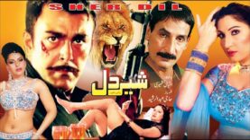 SHER DIL (2015) – SHAAN & SAIMA – OFFICIAL PAKISTANI FULL  MOVIE