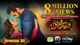 Tere Bin Ep 30 – [Eng Sub] – Digitally Presented by Jhalak Beauty Cream – Yumna Zaidi – Wahaj Ali