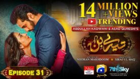 Tere Bin Ep 31 – [Eng Sub] – Digitally Presented by Nisa Hair Removal Cream- Yumna Zaidi – Wahaj Ali